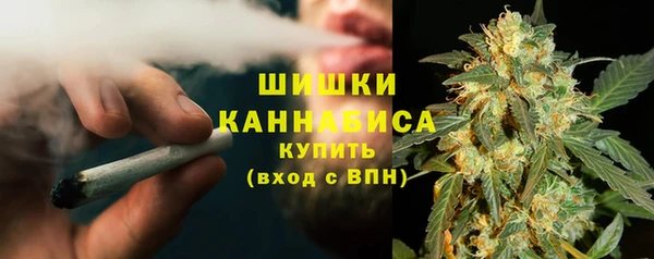 гашик Няндома