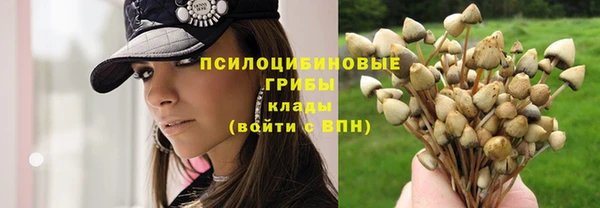 тгк Нягань