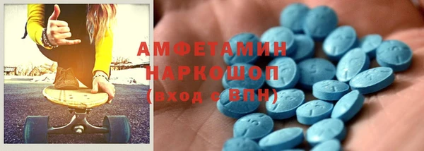 гашик Няндома