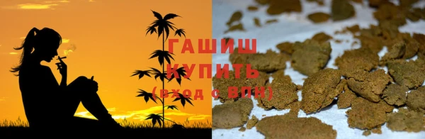 гашик Няндома