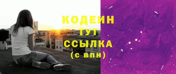 гашик Няндома