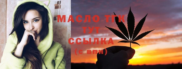 гашик Няндома
