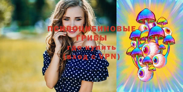 стаф Нязепетровск