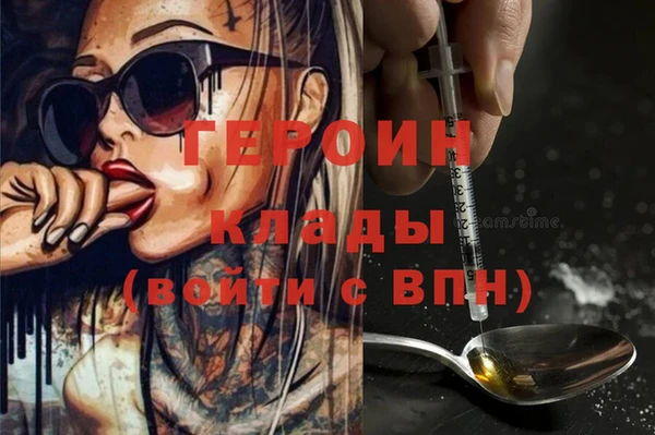 гашик Няндома