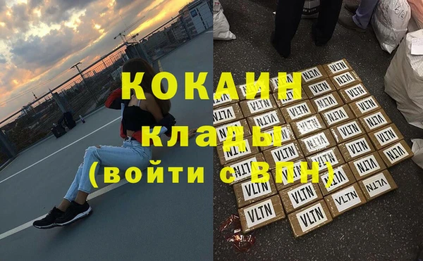 гашик Няндома