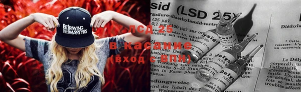 гашик Няндома