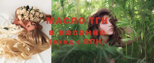 гашик Няндома