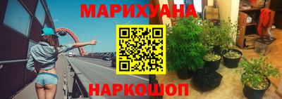 стафф Гусев