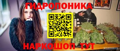 стафф Гусев