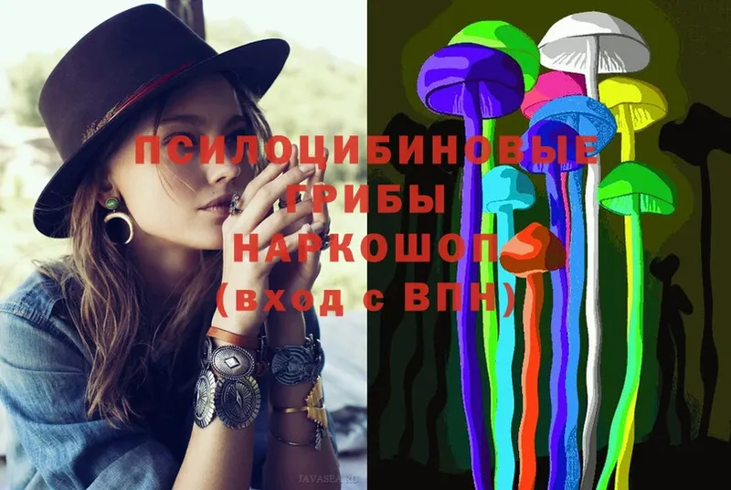 наркота  Семилуки  Галлюциногенные грибы Psilocybine cubensis 