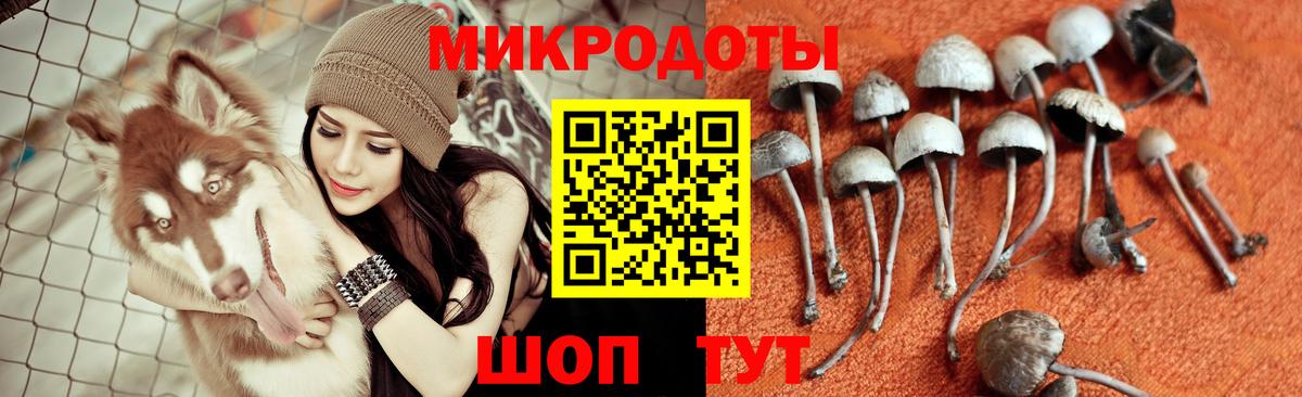 Псилоцибиновые грибы Psilocybe  Псилоцибиновые грибы ЛСД  Семилуки  Вход с VPN 