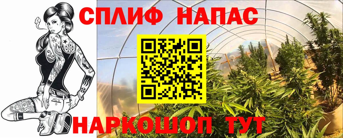 Шишки марихуана THC 21%  Бошки Шишки ГИДРОПОН  Вход с VPN  Семилуки  Конопля марихуана 